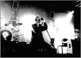 Die Toten Hosen