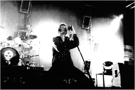 Die Toten Hosen