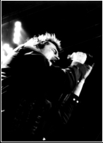 Die Toten Hosen